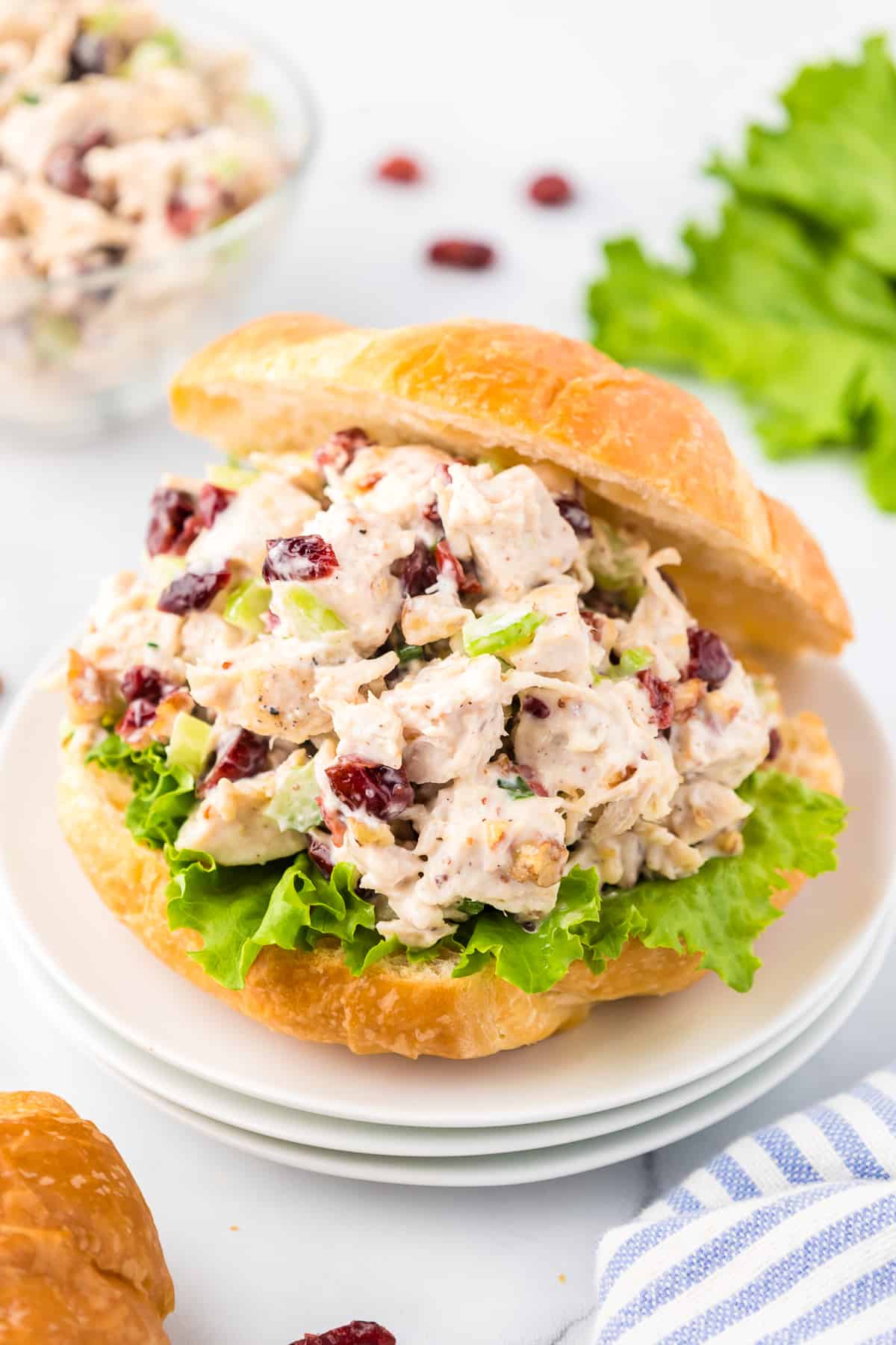 Cranberry Pecan Chicken Salad with Sweet-Tart Cranberries and Crunchy Celery