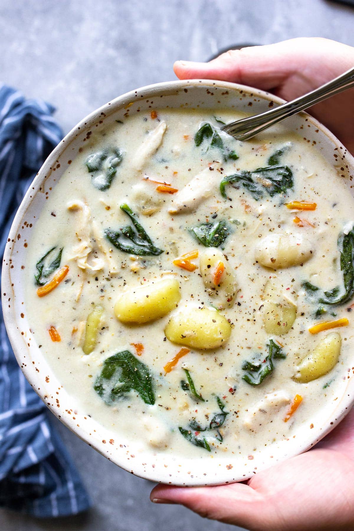 Slow Cooker Chicken Gnocchi Soup with Creamy Nutmeg Broth