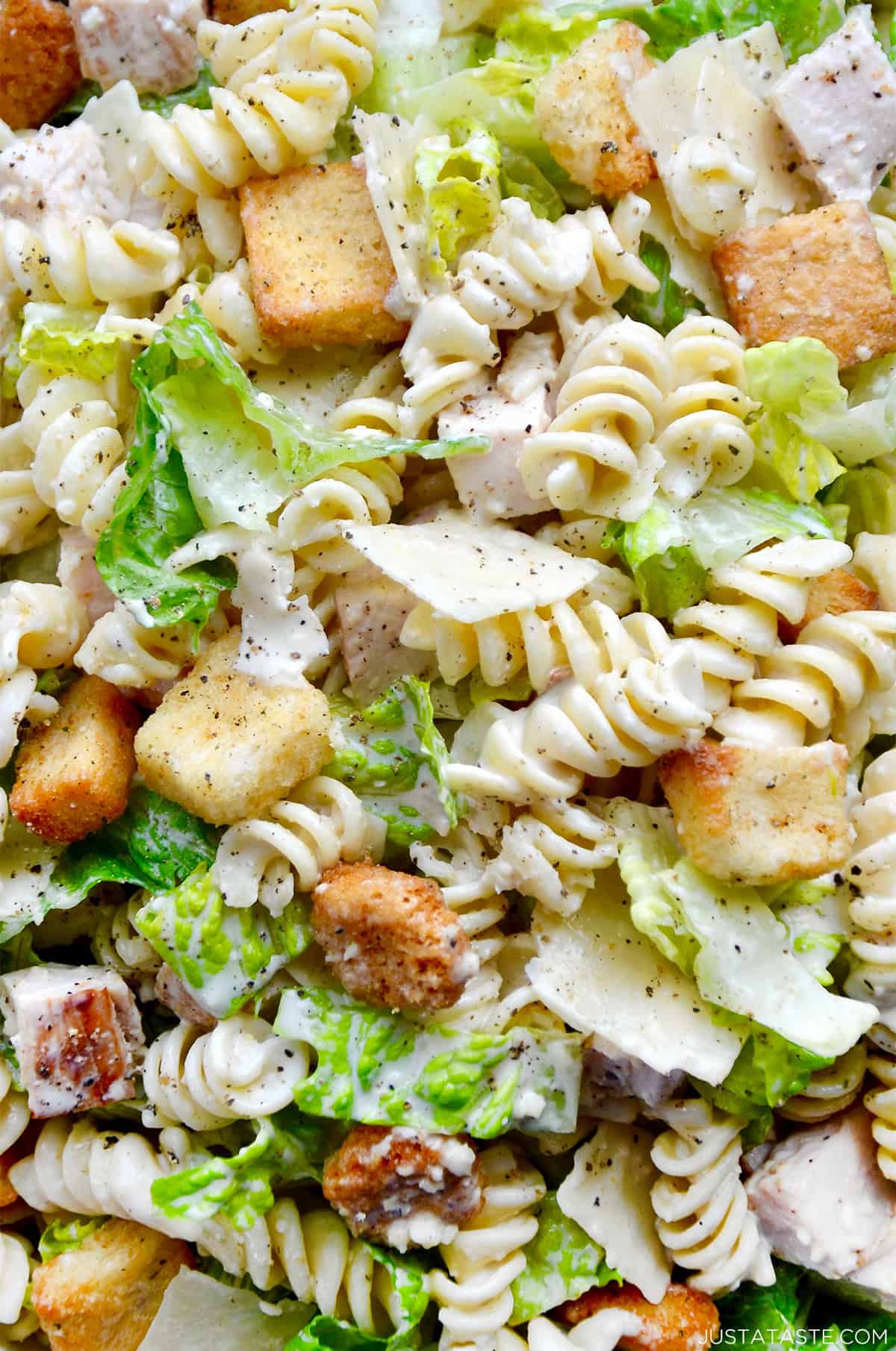 Chicken Caesar Pasta Salad with Garlicky Parmesan Dressing